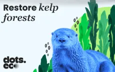Dots.eco - Restore Kelp Forests Gift Card