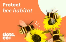 Dots.eco - Protect Bee Habitat Gift Card