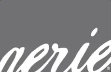 Aerie Gift Card