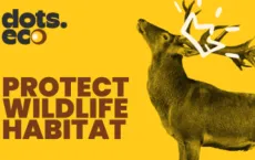 Protect wildlife habitat Gift Card